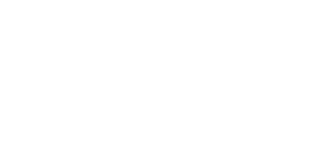 Quansight Logo